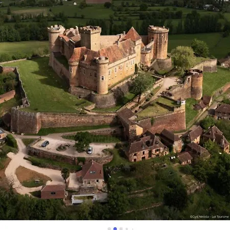 Tatil Evi Grangette Au Chateau De Castelnau